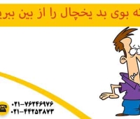 از بین بردن بوی بد یخچال