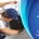 نمایندگی تعمیرات آاگ شمال تهران