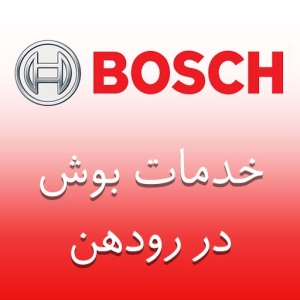 بوش در رودهن