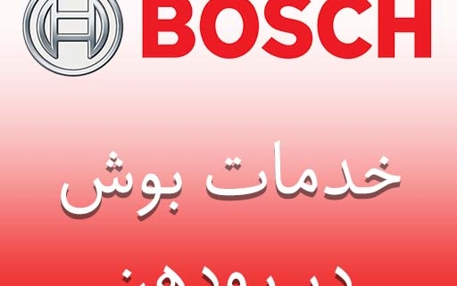 بوش در رودهن