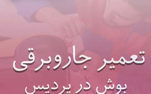 نمایندگی جاروبرقی بوش در پردیس