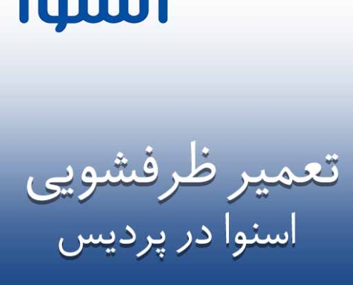 نمایندگی ظرفشویی اسنوا در پردیس